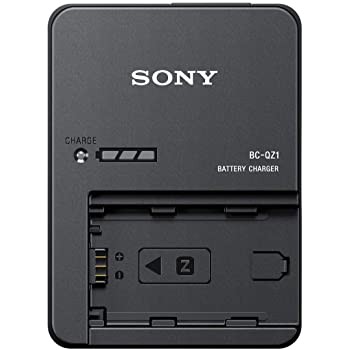 Sony charger BC-QZ1