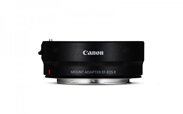 Adaptateur EF-EOS R standard Canon